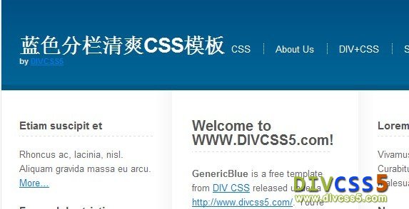 左右固定宽度中间自适应宽度的DIV+CSS模板截图