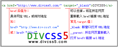 html a锚文本超链接结构图