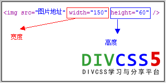 img标签高度宽度设置