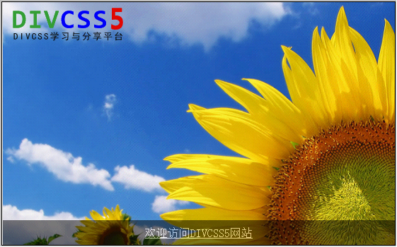 纯CSS+DIV实现鼠标放在图片上方出现文字内容效果截图