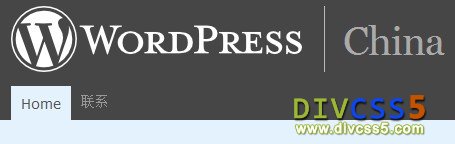 DIV CSS wordpress博客系统截图