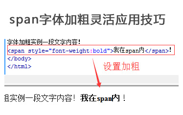 span加粗