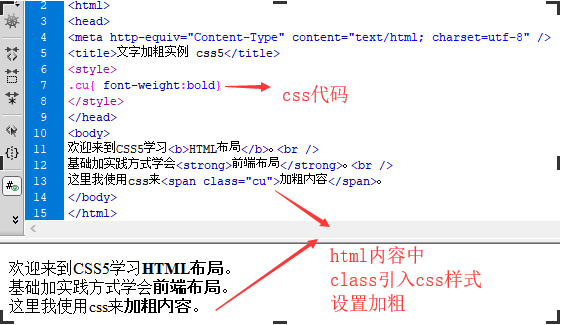 css设置文字粗体样式