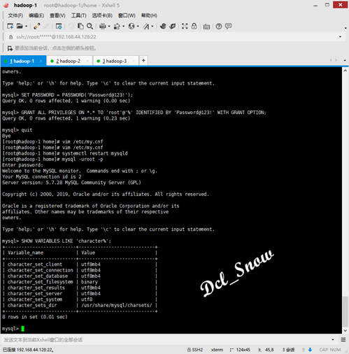mysql11 mysql11