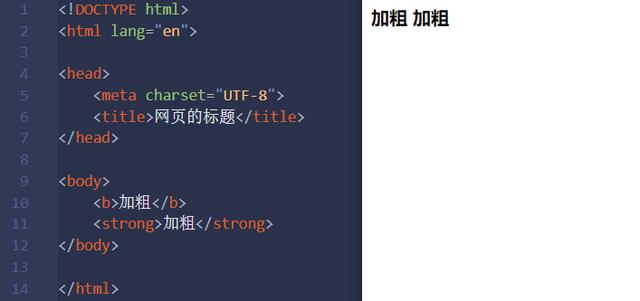 学习01-html基本内容