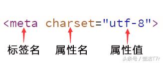 网页设计技术之HTML的基本结构说明
