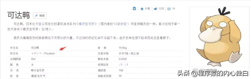 简单粗暴,详细得不要不要的 JavaWeb快速入门