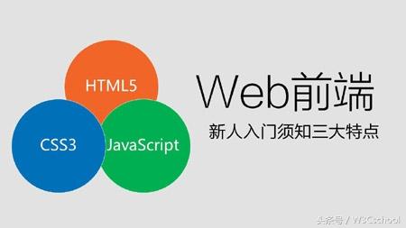 菜鸟干货!零基础的Web前端开发初学者如何快速入门?