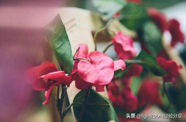 DIV技巧,1分钟教你如何自制摄影滤镜