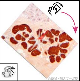 24个Photoshop工具库图解,一小时搞定P图工具!