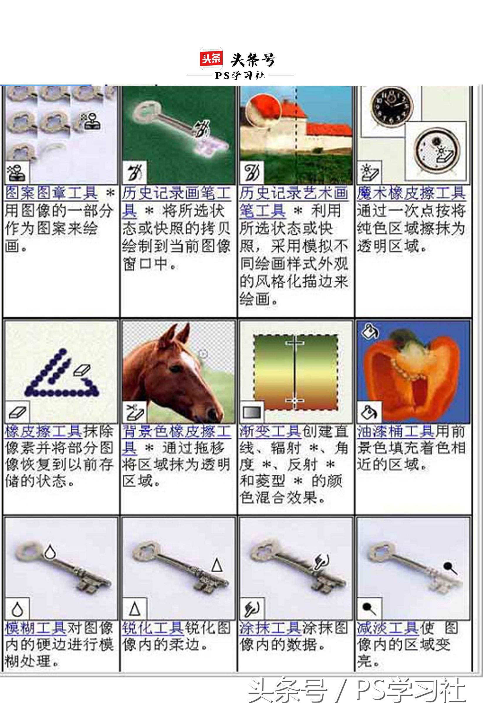 PS入门：快速掌握PS的基本工具和操作