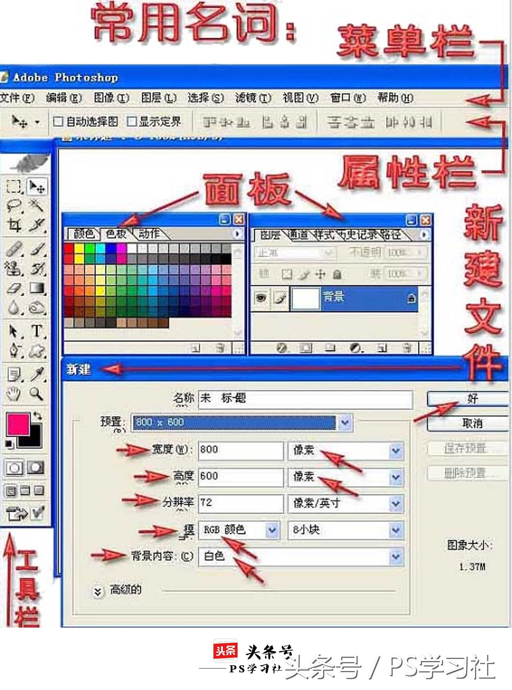 PS入门：快速掌握PS的基本工具和操作